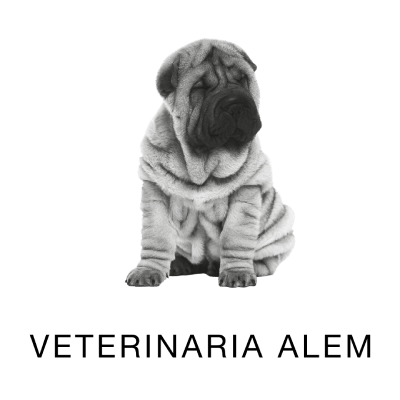 Veterinaria Alem